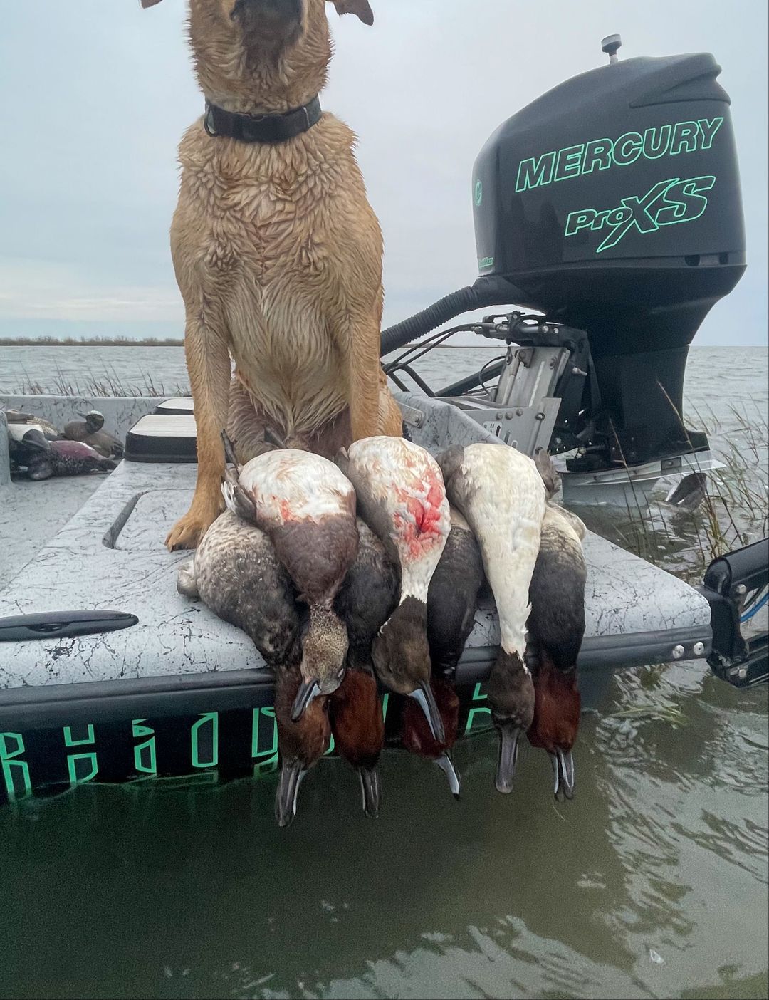 Duck Hunting in Rockport TX